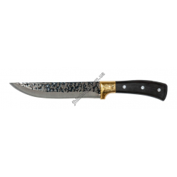 31